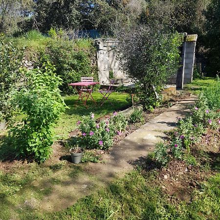 Cap Au Sud Sweet Home Nîmes Dış mekan fotoğraf