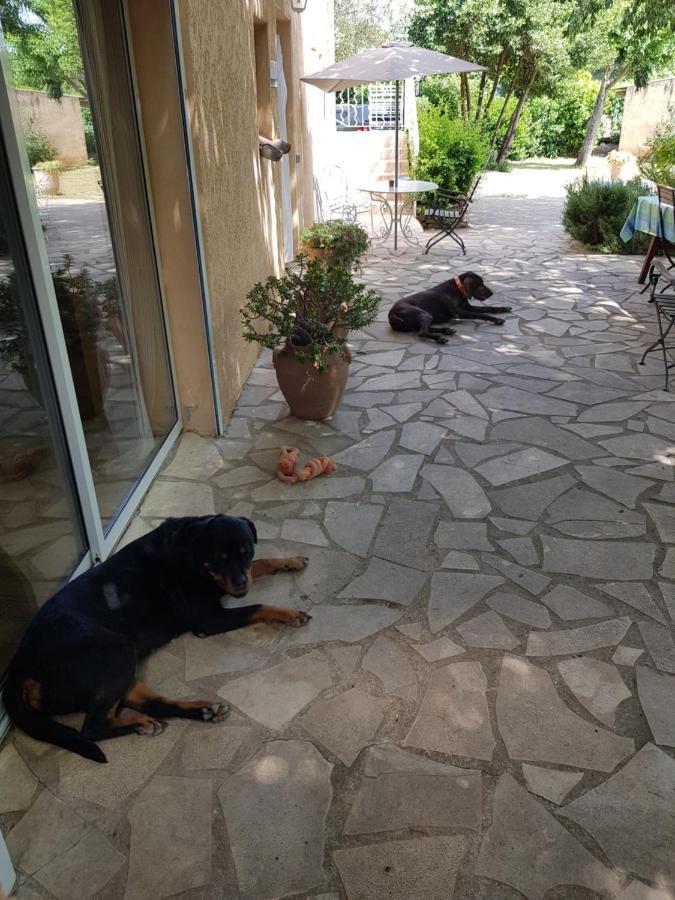 Cap Au Sud Sweet Home Nîmes Dış mekan fotoğraf