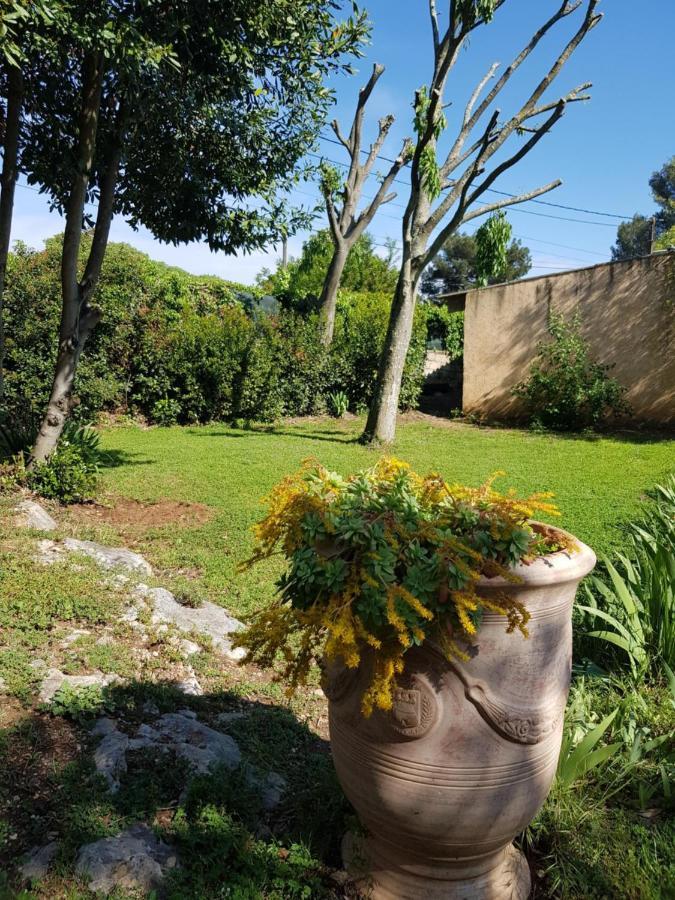 Cap Au Sud Sweet Home Nîmes Dış mekan fotoğraf