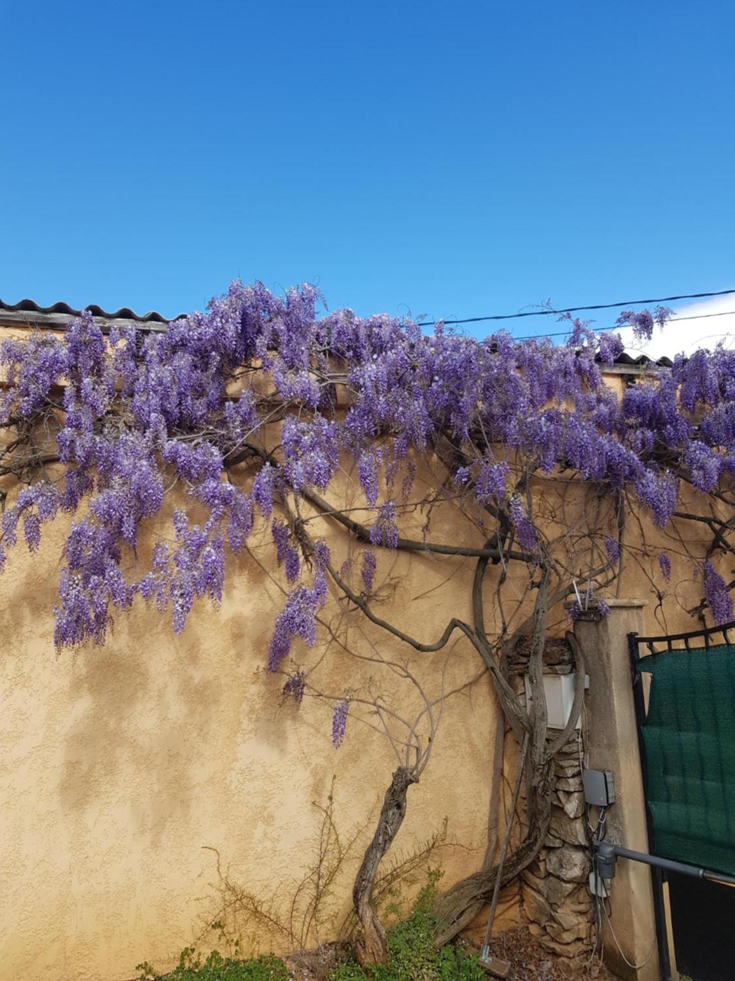 Cap Au Sud Sweet Home Nîmes Dış mekan fotoğraf