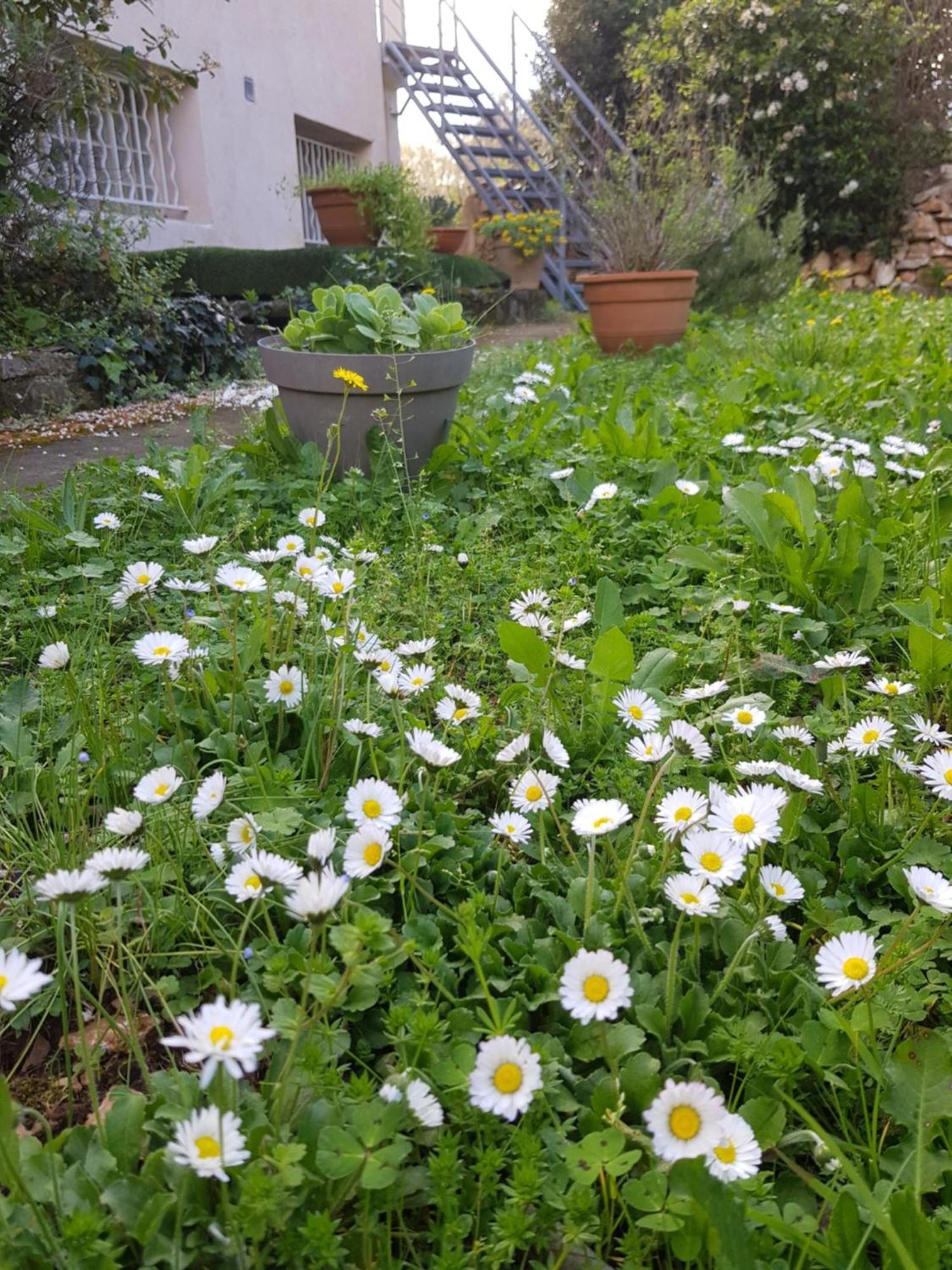 Cap Au Sud Sweet Home Nîmes Dış mekan fotoğraf