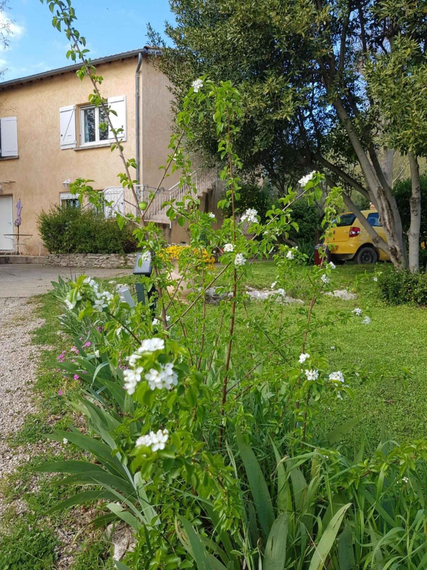 Cap Au Sud Sweet Home Nîmes Dış mekan fotoğraf