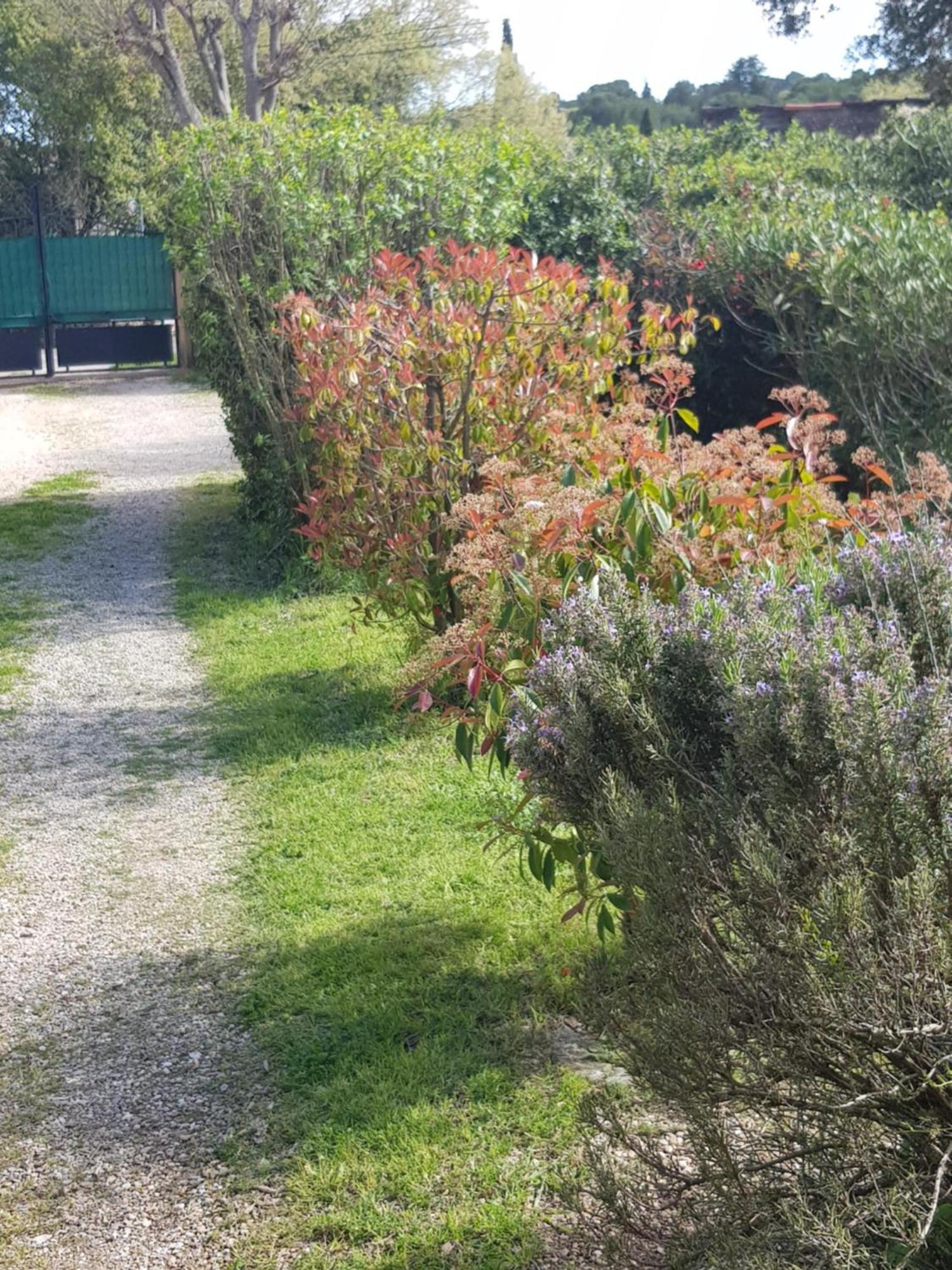 Cap Au Sud Sweet Home Nîmes Dış mekan fotoğraf