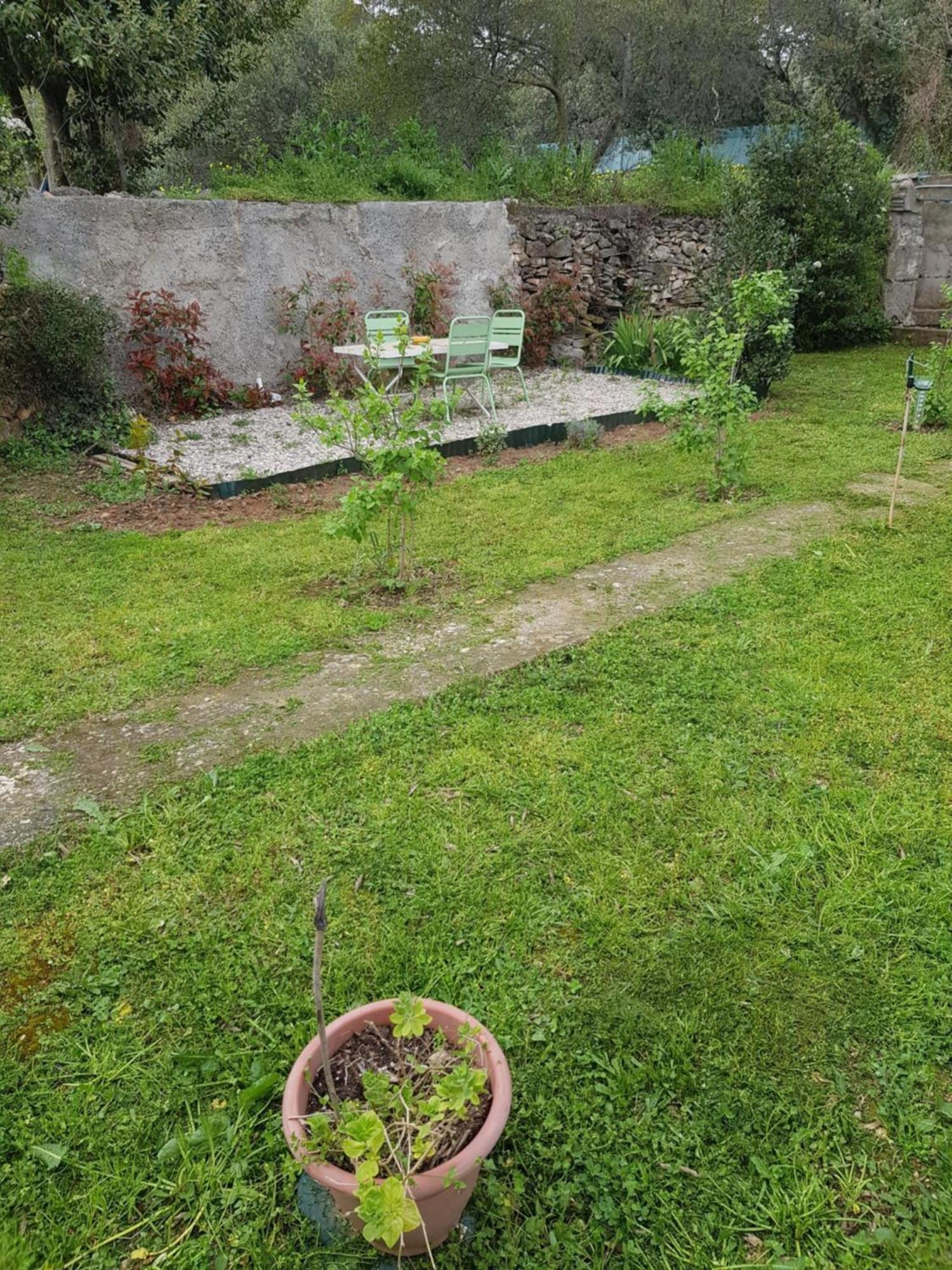 Cap Au Sud Sweet Home Nîmes Dış mekan fotoğraf