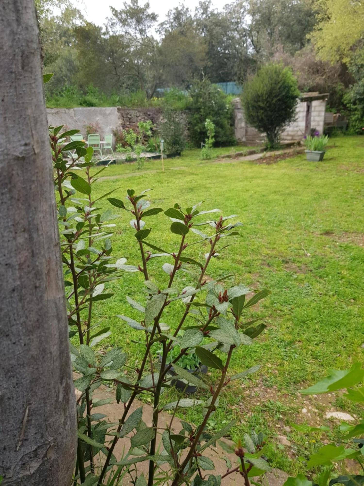 Cap Au Sud Sweet Home Nîmes Dış mekan fotoğraf