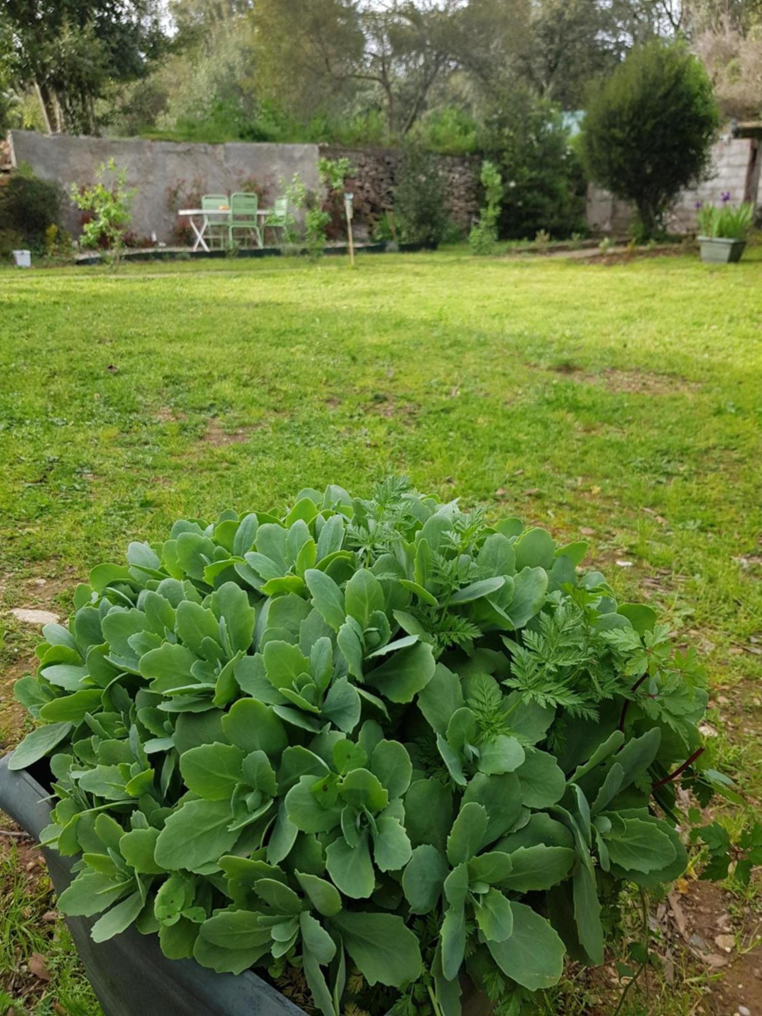 Cap Au Sud Sweet Home Nîmes Dış mekan fotoğraf
