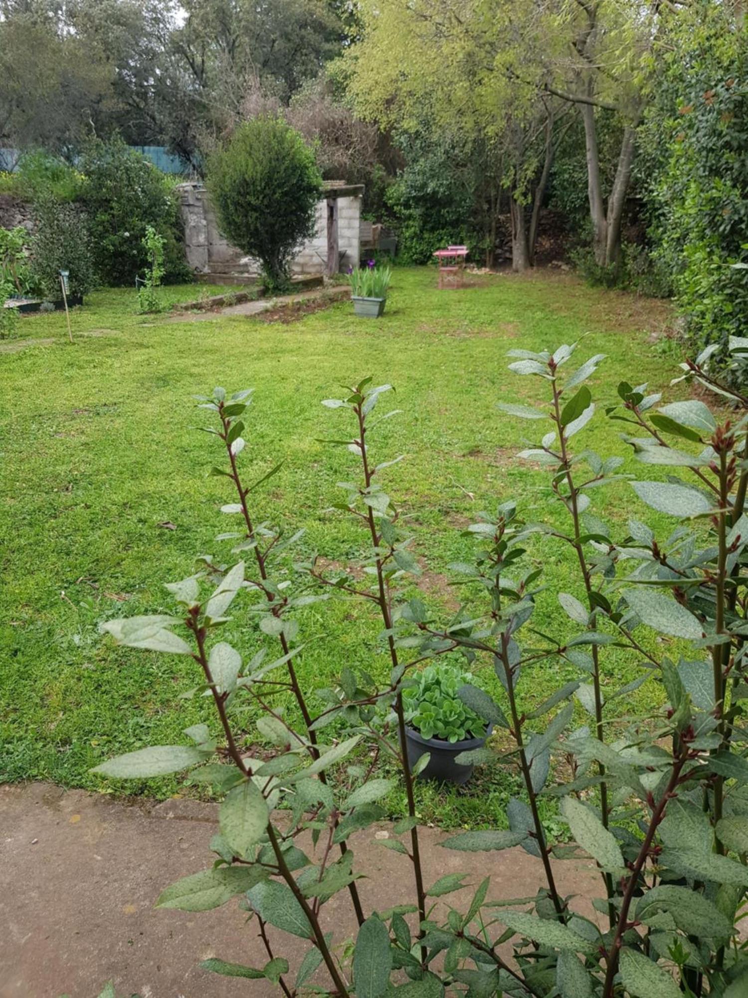 Cap Au Sud Sweet Home Nîmes Dış mekan fotoğraf