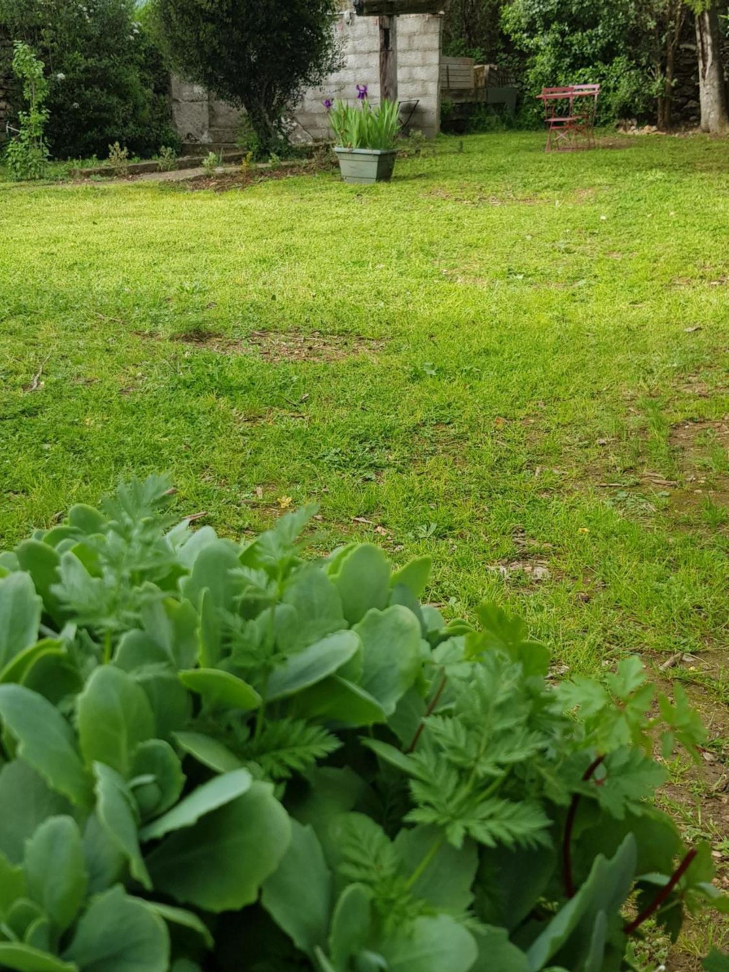 Cap Au Sud Sweet Home Nîmes Dış mekan fotoğraf
