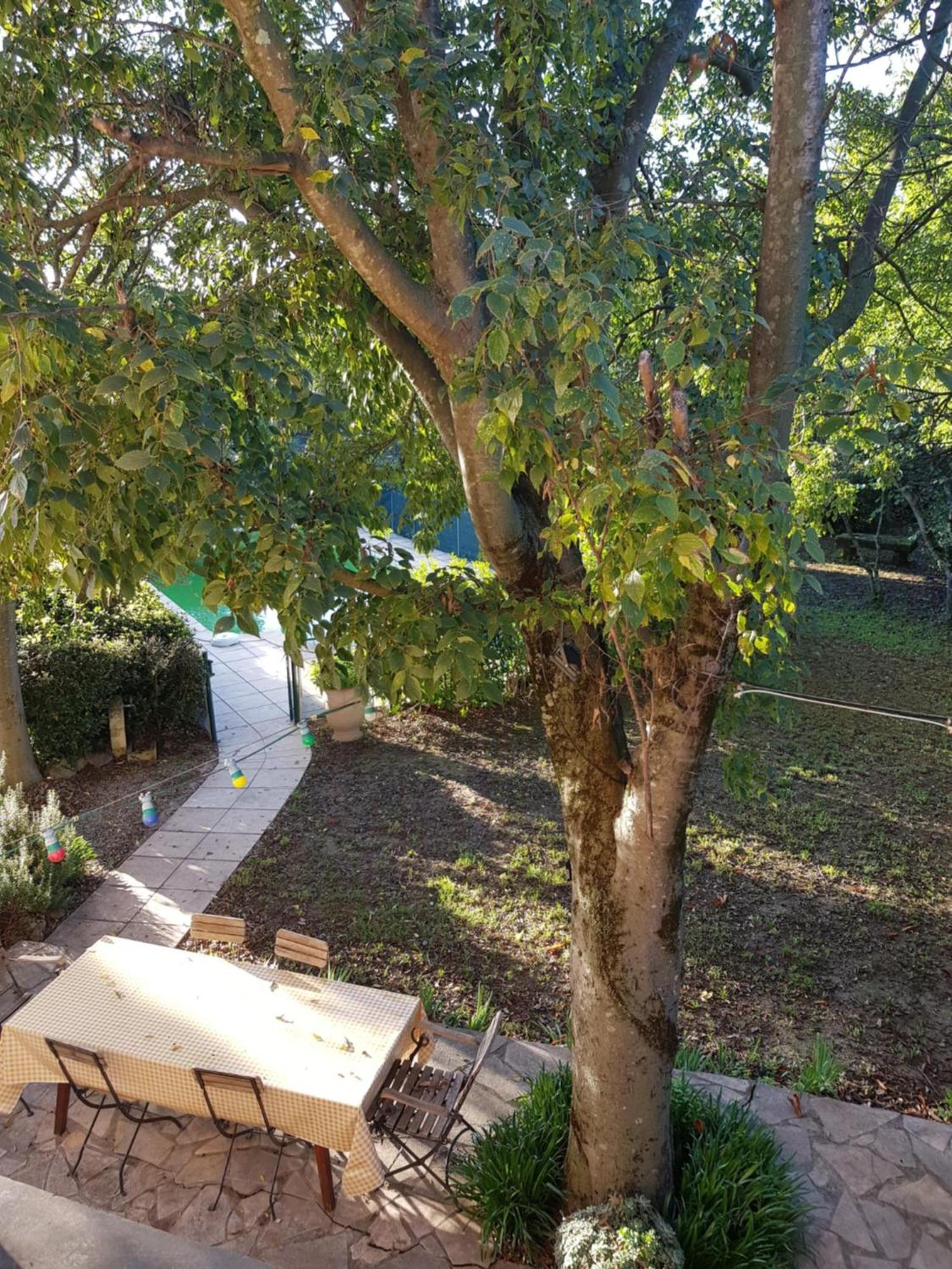 Cap Au Sud Sweet Home Nîmes Dış mekan fotoğraf
