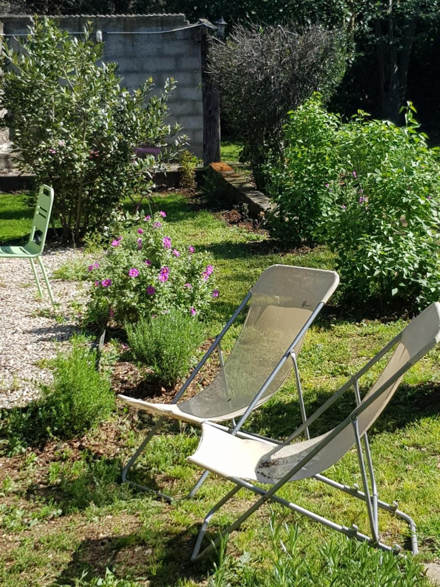 Cap Au Sud Sweet Home Nîmes Dış mekan fotoğraf